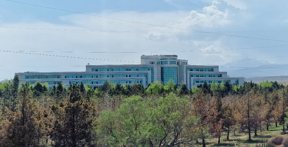 Санаторий Гашалты (Gashalti Health Hotel Naftalan)
